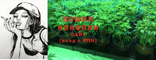 спиды Волосово
