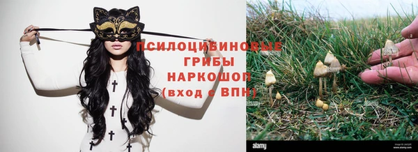 гашишное масло Володарск