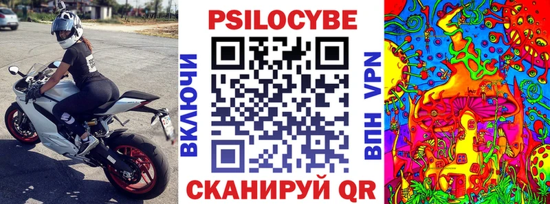 Купить закладки Мензелинск Галлюциногенные грибы Psilocybine cubensis
